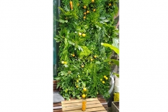 122 zeleni zidovi dekoracija